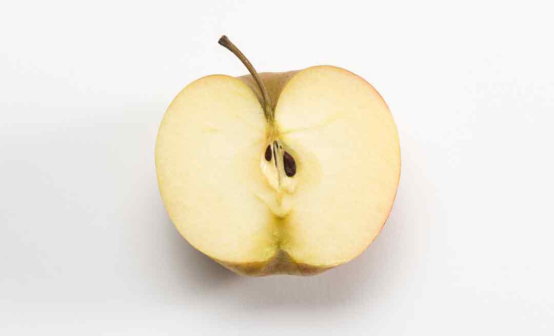 Längsschnitt durch einen Apfel: Im Fruchtfleisch eingebettet befindet sich das pergamentartige Kerngehäuse mit den Samen. Essen sollte man die Frucht besser ungeschält, denn die meisten Vitamine und Ballaststoffe sitzen in und unter der Schale (Foto: Bernd Fickert/Museum Wiesbaden)